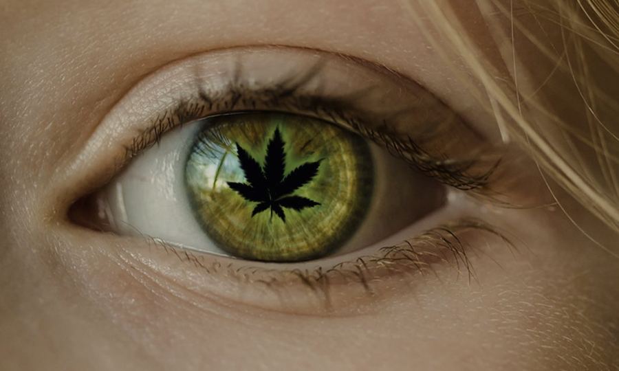Cannabis and glaucoma illustration