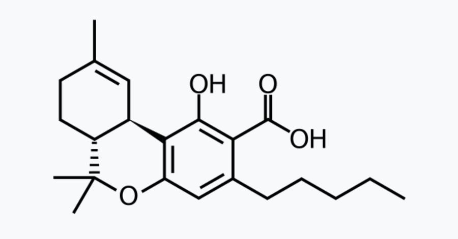The chemical structure of THC